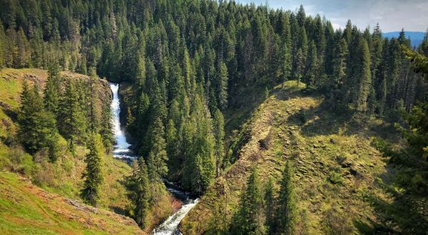A Trail Full Of Forest Views By Elk Creek Will Lead You To A Waterfall Paradise In Idaho