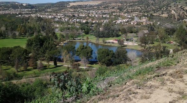 Carbon Canyon Nature Trail Might Be One Of The Most Beautiful Short-And-Sweet Hikes To Take In Southern California