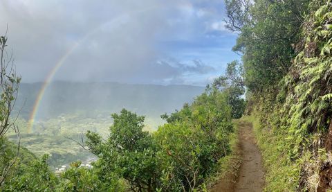 Manoa Cliff Trail Might Be One Of The Most Beautiful Short-And-Sweet Hikes To Take In Hawaii