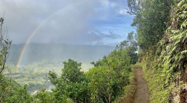 Manoa Cliff Trail Might Be One Of The Most Beautiful Short-And-Sweet Hikes To Take In Hawaii