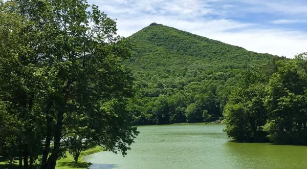 The Abbott Lake Trail Might Be One Of The Most Beautiful Short-And-Sweet Hikes To Take In Virginia