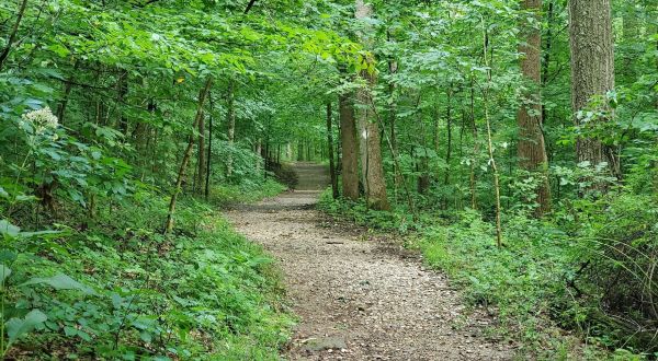 The Hemlock Cliffs National Scenic Trail Might Be One Of The Most Beautiful Short-And-Sweet Hikes To Take In Indiana