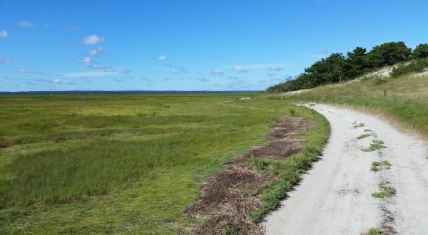 Explore The Lesser Known Side Of Massachusetts On The Sandy Neck Nature Trail