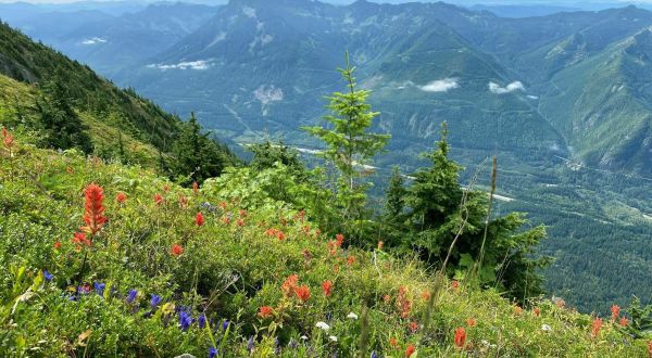Mailbox Peak Trail Is A Challenging Hike In Washington That Will Make Your Stomach Drop