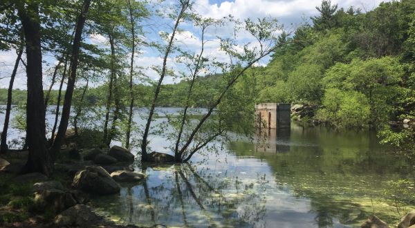 Trek Between Two Ponds On This Beautiful Loop Hike In Massachusetts’ Lynn Woods Reservation