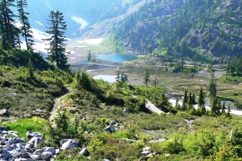 The Bagley Creek Loop Trail Might Be One Of The Most Beautiful Short-And-Sweet Hikes To Take In Washington
