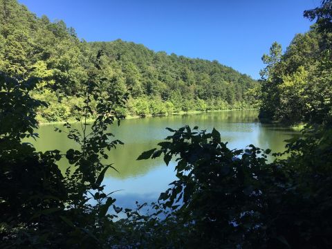 Black Bass Lake In Arkansas Is So Hidden Most Locals Don't Even Know About It