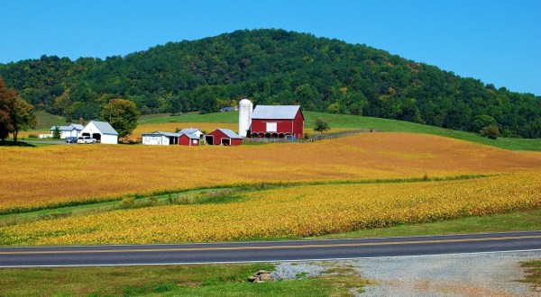 Take These 19 Country Roads In Virginia For An Unforgettable Scenic Drive