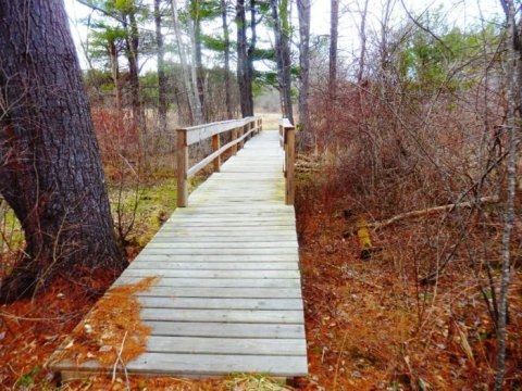 The Great Bay National Wildlife Refuge In New Hampshire Is So Well-Hidden, It Feels Like One Of The State's Best Kept Secrets
