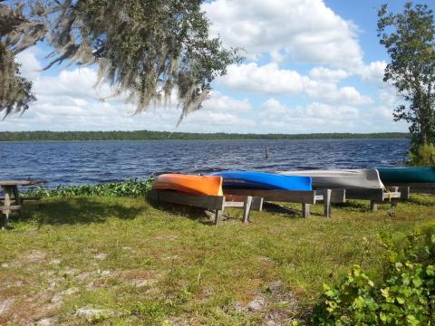 The Lake Manatee Park In Florida Is So Well-Hidden, It Feels Like One Of The State's Best Kept Secrets