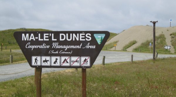 Visit One Of The Most Pristine Dune Systems In The West At The Ma-le’l Dunes In Northern California