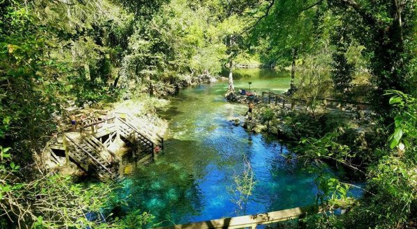 This Natural Spring Swimming Hole In Florida Is So Hidden You’ll Probably Have It All To Yourself