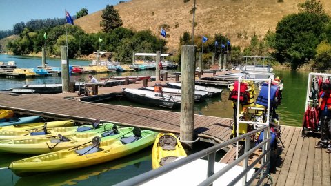 Grab Some Food And Rent A Kayak At Lake Chabot Marina & Cafe In Northern California