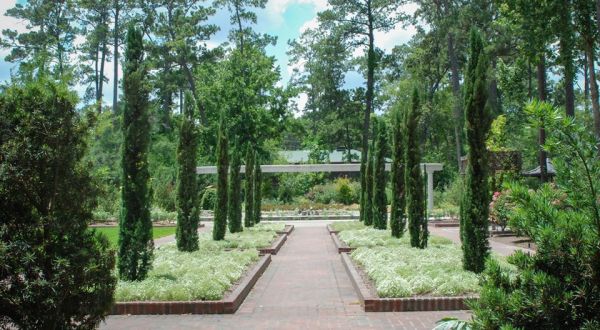 This Beautiful 400-Acre Botanical Garden In Texas Is A Sight To Be Seen