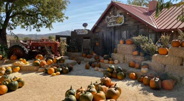 Mark Your Fall Calendar For The Pumpkin Fest At Mortimer Farms In Arizona