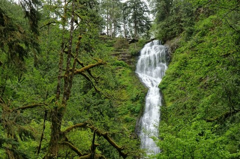 Hike This Easy Trail To See Munson Creek Falls, The Tallest Waterfall In The Oregon Coast Range