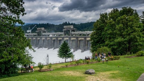 The Unique Day Trip To Bonneville Lock and Dam In Oregon Is A Must-Do