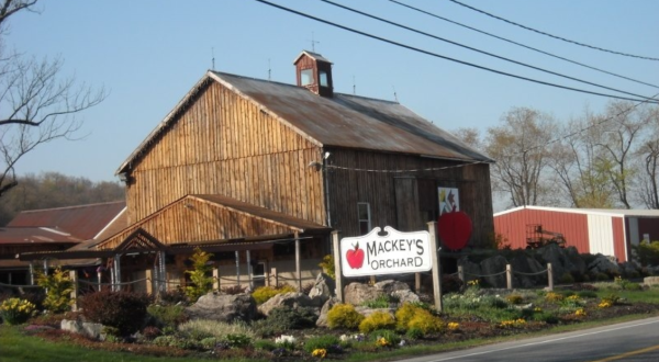 Start Planning For A Trip To Mackey’s Orchard In New Jersey This Fall For Apple Cider Donuts Galore