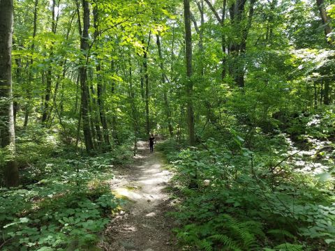 The Lime Rock Preserve Trail Might Be One Of The Most Beautiful Short-And-Sweet Hikes To Take In Rhode Island