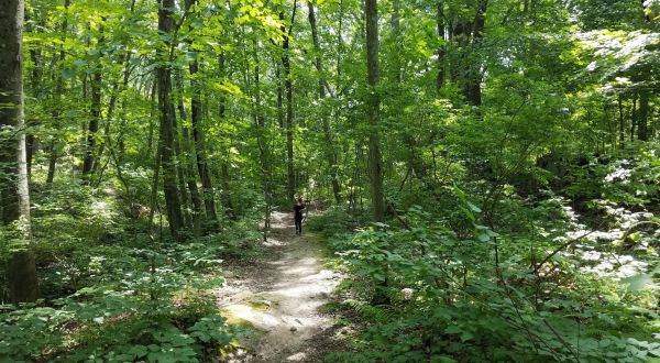 The Lime Rock Preserve Trail Might Be One Of The Most Beautiful Short-And-Sweet Hikes To Take In Rhode Island