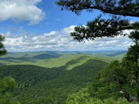 Flatside Pinnacle And The Ouachita Trail Might Be One Of The Most Beautiful Short-And-Sweet Hikes To Take In Arkansas