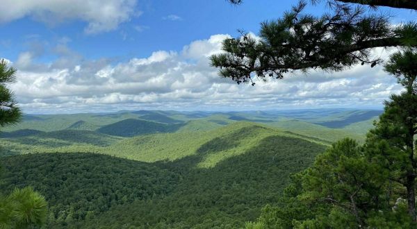 Flatside Pinnacle And The Ouachita Trail Might Be One Of The Most Beautiful Short-And-Sweet Hikes To Take In Arkansas
