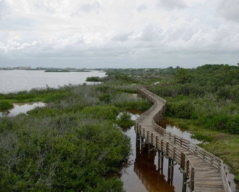Off The Beaten Path In Boca Ciega Millennium Park, You'll Find A Breathtaking Florida Overlook That Lets You See For Miles