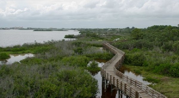 Off The Beaten Path In Boca Ciega Millennium Park, You’ll Find A Breathtaking Florida Overlook That Lets You See For Miles