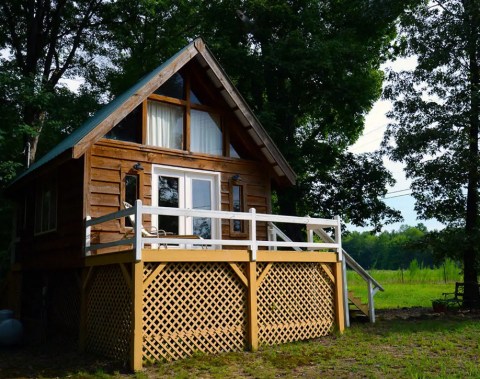 With Its Own Mini Library, This Tiny Alabama Cabin Is A Book Lover's Dream