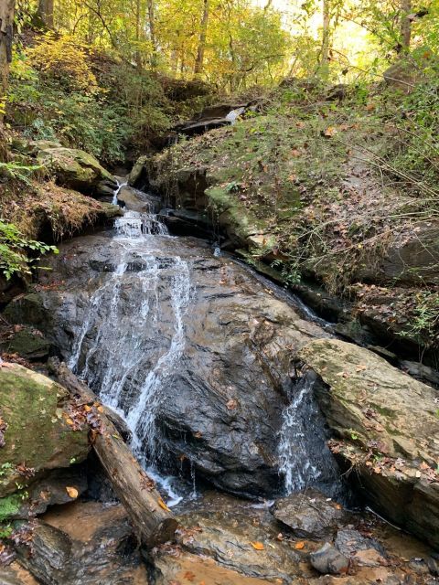 Waldrop Stone Falls Trail Might Be One Of The Most Beautiful Short-And-Sweet Hikes To Take In South Carolina