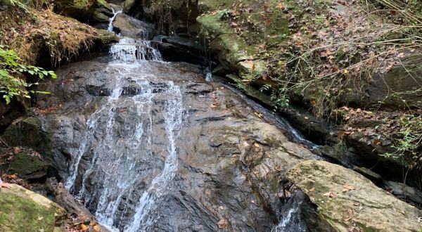 Waldrop Stone Falls Trail Might Be One Of The Most Beautiful Short-And-Sweet Hikes To Take In South Carolina