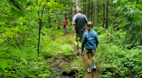 Walter/Newton Natural Area Trail Is A Beginner-Friendly Waterfall Trail In New Hampshire That’s Great For A Family Hike