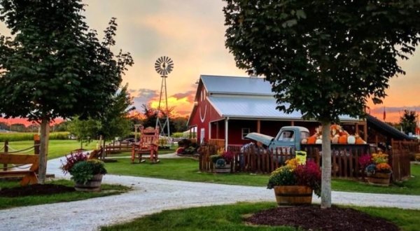 Gain Lifelong Memories With A Visit To Basse’s Taste Of Country In Wisconsin
