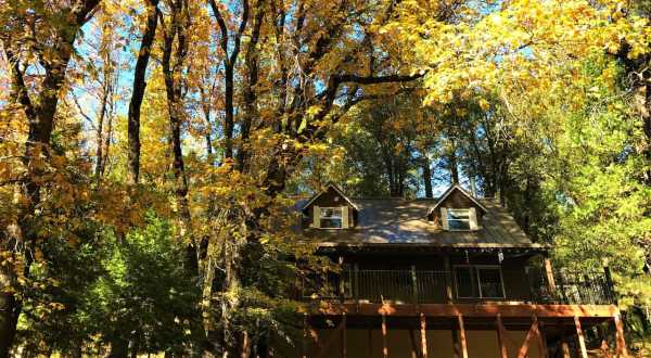 Experience The Fall Colors Like Never Before With A Stay At This Forest Cabin In Northern California