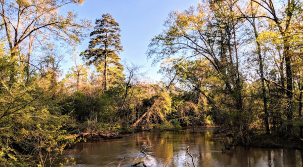 6 Of The Most Beautiful Fall Destinations Near New Orleans