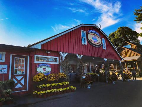 The 5 Best Places In Pittsburgh To Get Your Apple Cider Fix This Fall