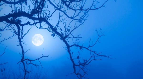 A Rare Halloween Blue Moon Will Appear In Kentucky In 2020 So Be Prepared