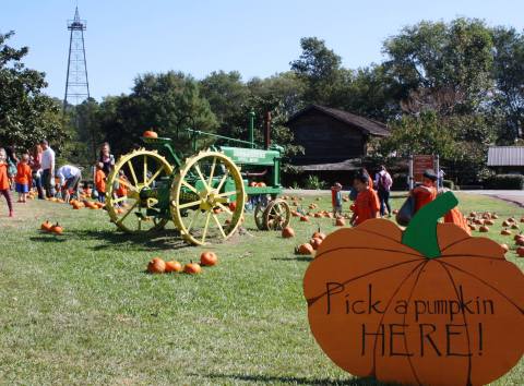 Enjoy Your Favorite Fall Festivities At Pumpkin Adventure In Mississippi