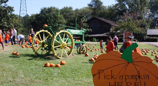 Enjoy Your Favorite Fall Festivities At Pumpkin Adventure In Mississippi