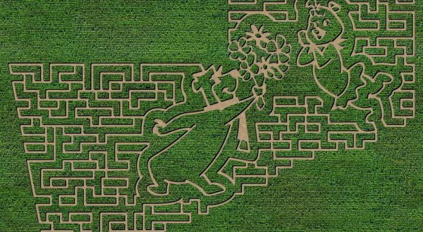 Get Lost In This Awesome 7-Acre Corn Maze In South Dakota This Autumn