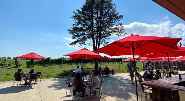 Treat Yourself To Autumn Bites And Wine Pairings At Newport Vineyards In Rhode Island