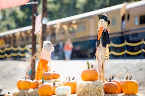The Pumpkin Patch Express At The River Fox Train In Northern California Is Filled With Fun For The Whole Family