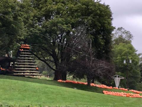 The Pumpkins Are Huge This Year At This Fall Favorite Family Farm In West Virginia