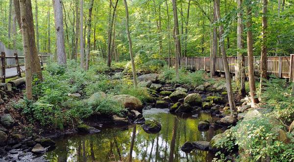 An Accessible Boardwalk Trail In Connecticut, The Wheels In The Woods Trail Is Full Of Enchanting Views