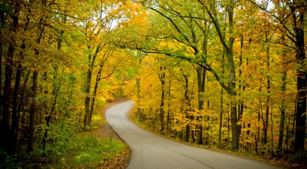 If Fall Is Your Favorite Season, You’ll Want To Visit Brown County State Park In Indiana