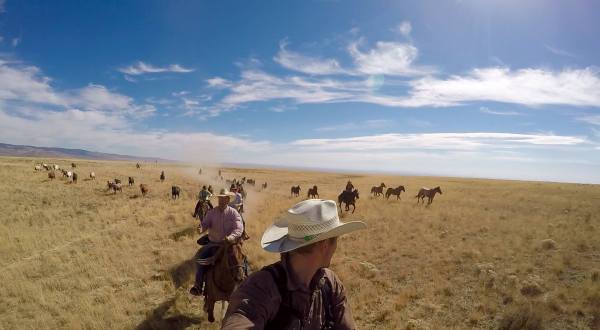 Herd Horses Across Wide-Open Terrain For A Rewarding Adventure At Silver Spur Ranch In Idaho