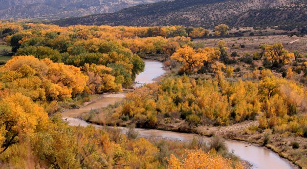 8 Of The Most Beautiful Fall Destinations In New Mexico