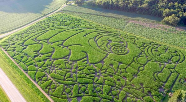 Get Lost In These 10 Magical Mazes Of Maize In Wisconsin