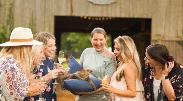 Sip Wine With Sloths At Wild Acres In Mississippi