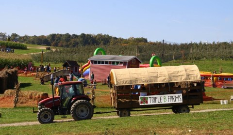 Triple B Farms Near Pittsburgh Promises A Socially Distant & Safe Good Time